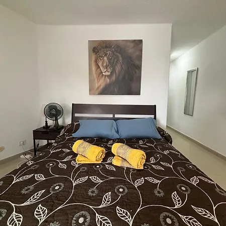 Apartment Parque Santiago 1, 214, Tenerife Dream